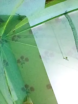 Snapshot of Apkisona8 chatting on 11/18/25, 05:06 Apkisona8 online show from 11/18/25, 05:06