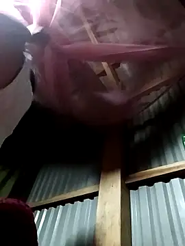 vivi cute online show from 10/17/25, 09:06