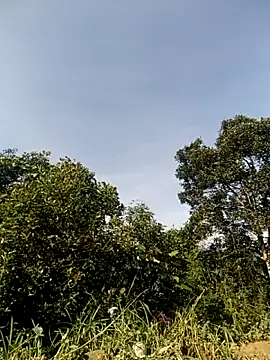 vivi cute online show from 10/30/25, 01:51