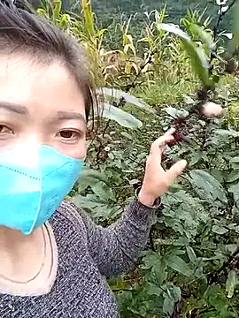 Snapshot of qychiu chatting on 11/13/25, 01:48 qychiu online show from 11/13/25, 01:48