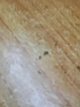 Snapshot of Markroco696 chatting on 10/06/25, 03:09 Markroco696 online show from 10/06/25, 03:09