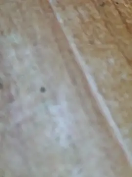 Snapshot of Markroco696 chatting on 10/09/25, 04:10 Markroco696 online show from 10/09/25, 04:10