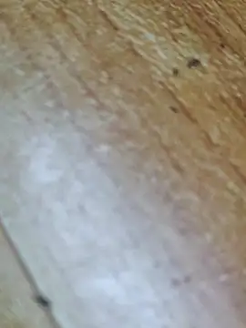 Snapshot of Markroco696 chatting on 10/12/25, 02:32 Markroco696 online show from 10/12/25, 02:32