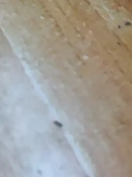 Snapshot of Markroco696 chatting on 10/16/25, 04:24 Markroco696 online show from 10/16/25, 04:24