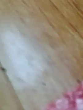 Snapshot of Markroco696 chatting on 10/18/25, 02:58 Markroco696 online show from 10/18/25, 02:58