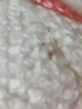 Snapshot of Markroco696 chatting on 11/15/25, 05:38 Markroco696 online show from 11/15/25, 05:38