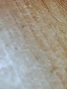 Snapshot of Markroco696 chatting on 11/17/25, 05:02 Markroco696 online show from 11/17/25, 05:02