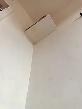 Dikchahot online show from 11/11/25, 10:26