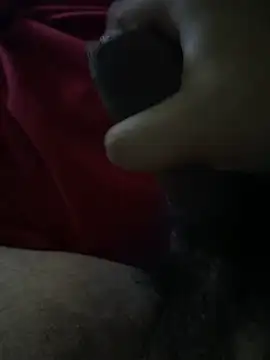 pollagorda 05 online show from 10/25/25, 08:11