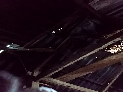  Helala  online show from 10/25/25, 11:21