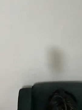 gayfucuxuc online show from 12/15/25, 01:04