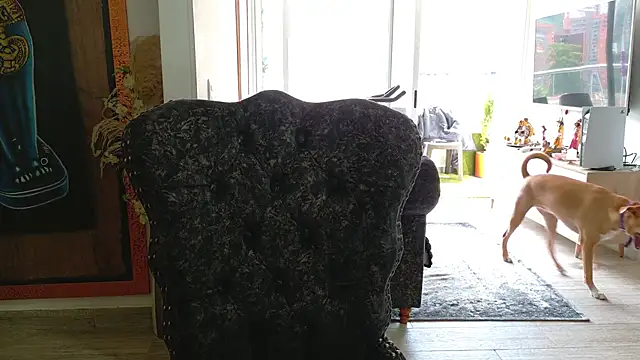 Snapshot of Sarahlove_90 chatting on 10/26/25, 06:03 Sarahlove 90 online show from 10/26/25, 06:03