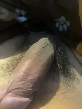 zzagreo online show from 07/04/26, 07:58