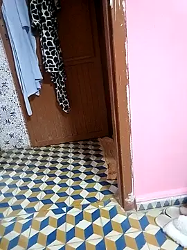 Mayamimi online show from 11/08/25, 09:31