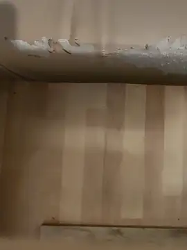 DarkNova9 online show from 10/17/25, 03:42