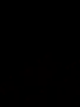 Jasmin Pink online show from 11/20/25, 12:27