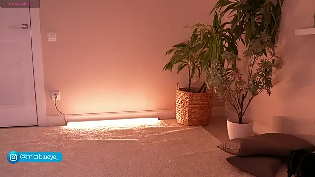 Miablueye online show from 11/20/25, 03:12