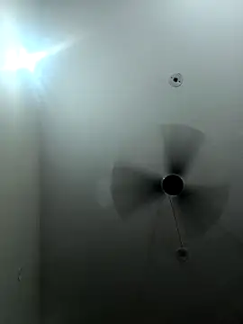 Snapshot of Appypie chatting on 09/16/25, 04:41 Appypie online show from 09/16/25, 04:41