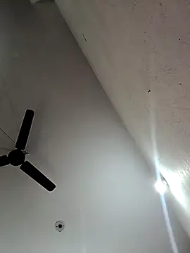 Appypie online show from 11/12/25, 06:36