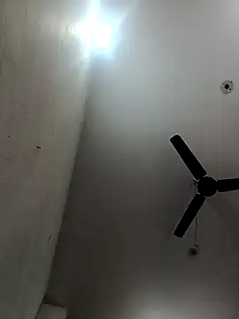 Appypie online show from 12/15/25, 05:34