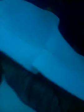 Snapshot of Prxx075 chatting on 11/09/25, 08:40 Prxx075 online show from 11/09/25, 08:40