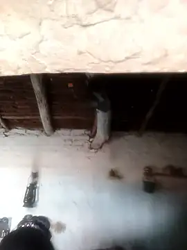 Snapshot of Sheema_tyagi chatting on 10/21/25, 07:31 Sheema tyagi online show from 10/21/25, 07:31