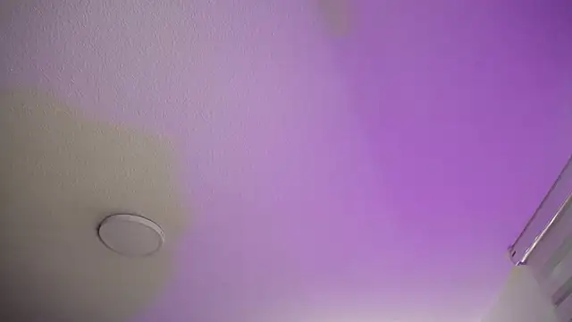 Snapshot of _Charlotte_Collins_ chatting on 11/22/25, 02:16 Charlotte Collins online show from 11/22/25, 02:16