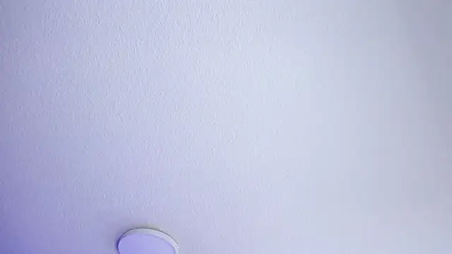  Charlotte Collins  online show from 07/18/26, 04:00