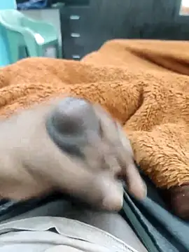 Yourminal online show from 10/05/25, 02:26