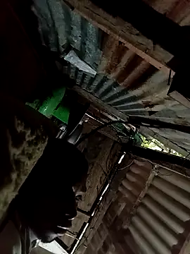 brein8 online show from 09/21/25, 09:16