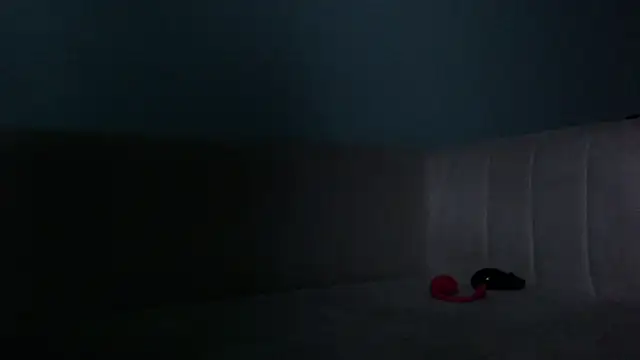 Snapshot of akisha_lims26 chatting on 11/07/25, 12:16 akisha lims26 online show from 11/07/25, 12:16