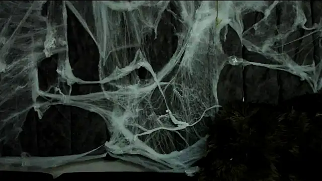 Rowan Mills online show from 10/10/25, 08:19