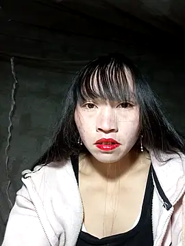 tcm-cute online show from 11/19/25, 06:41