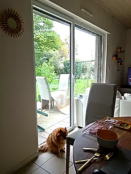 Snapshot of CornetDeGlace chatting on 10/31/25, 11:55 CornetDeGlace online show from 10/31/25, 11:55