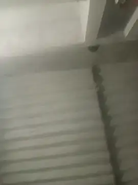 Payal950 online show from 10/18/25, 03:13