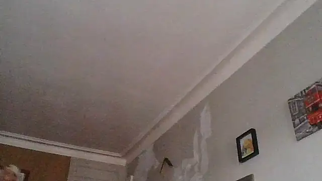 Titilouonlyf69 online show from 07/23/26, 07:01