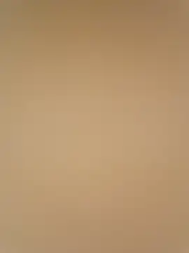 Snapshot of Mr_xxx007@xh chatting on 11/17/25, 03:23 Mr xxx007xh online show from 11/17/25, 03:23