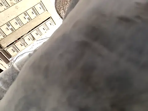 Snapshot of xyz-indian chatting on 10/01/25, 10:43 xyz-indian online show from 10/01/25, 10:43