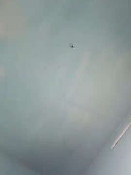 Snapshot of xyz-indian chatting on 10/05/25, 10:02 xyz-indian online show from 10/05/25, 10:02