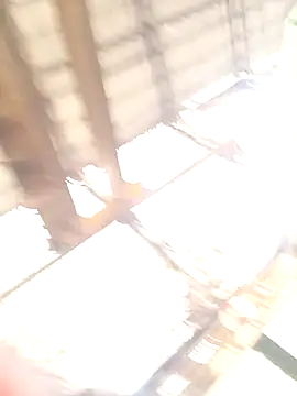 Snapshot of xyz-indian chatting on 10/11/25, 03:50 xyz-indian online show from 10/11/25, 03:50