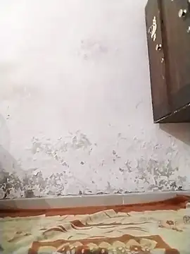 Snapshot of DivyaBhabhi69@xh chatting on 10/19/25, 03:56 DivyaBhabhi69xh online show from 10/19/25, 03:56