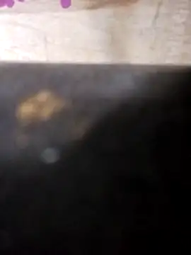 Jeremycle online show from 10/25/25, 11:21