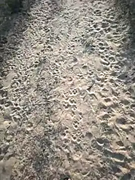 Snapshot of SmartLoda143 chatting on 11/19/25, 11:10 SmartLoda143 online show from 11/19/25, 11:10