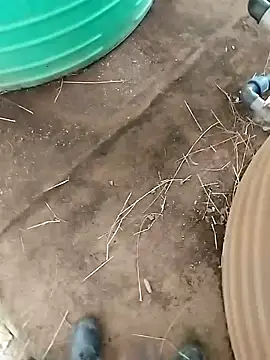 Snapshot of BigboyDick2 chatting on 10/20/25, 12:38 BigboyDick2 online show from 10/20/25, 12:38