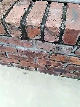 Snapshot of BigboyDick2 chatting on 11/14/25, 09:08 BigboyDick2 online show from 11/14/25, 09:08