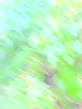 Snapshot of Andy-Alex2002 chatting on 09/14/25, 06:45 Andy-Alex2002 online show from 09/14/25, 06:45