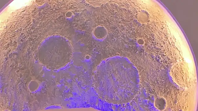  Noah19 online show from 10/16/25, 07:04