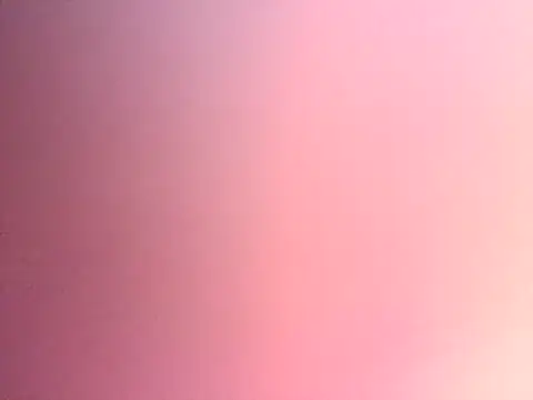 Dropdingo online show from 11/13/25, 11:14