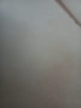 Snapshot of Jobson40 chatting on 11/01/25, 12:01 Jobson40 online show from 11/01/25, 12:01