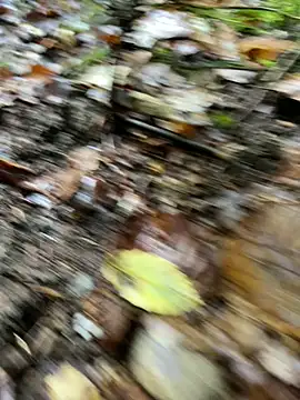 andymatthisbwc online show from 10/05/25, 03:43